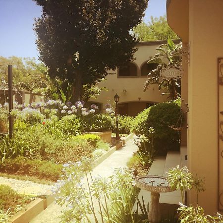 Dunton Guest House Johannesburg Ngoại thất bức ảnh