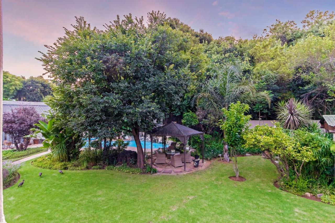 Dunton Guest House Johannesburg Ngoại thất bức ảnh